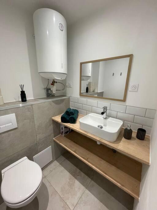 Le Roland-Garros Apartment Шалон-сюр-Сон Екстериор снимка